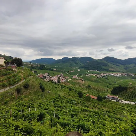 Bbconegliano Bixio *