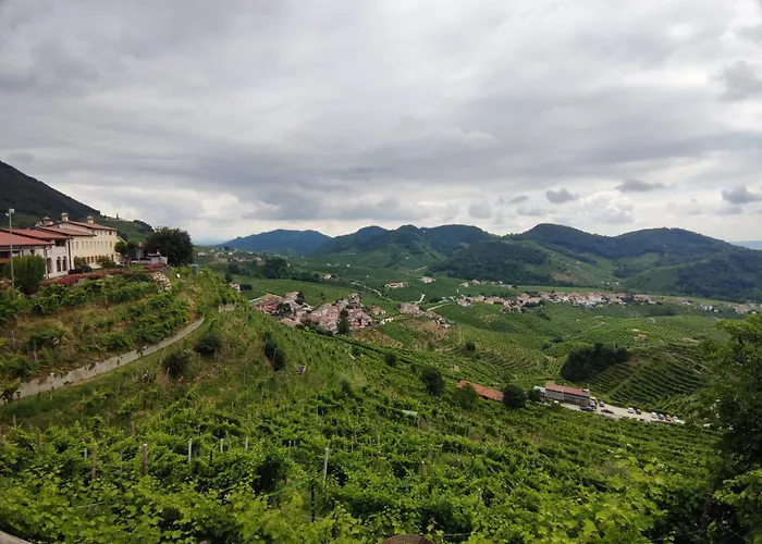 Bbconegliano Bixio *