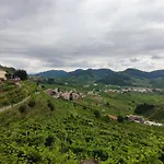 Bbconegliano Bixio *