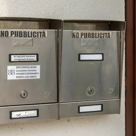 Bbconegliano Bixio