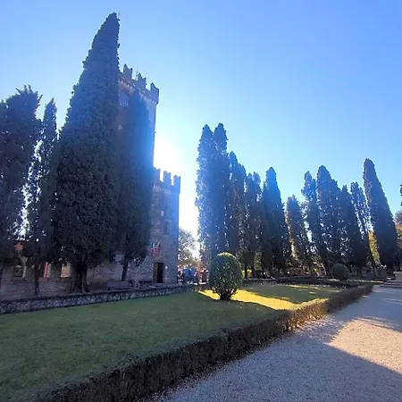 Bbconegliano Bixio *