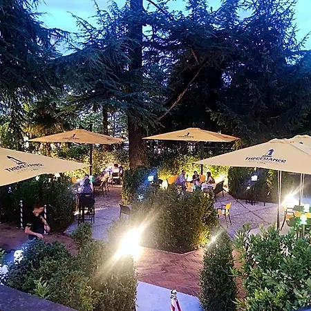 Bbconegliano Bixio Vandrerhjem *