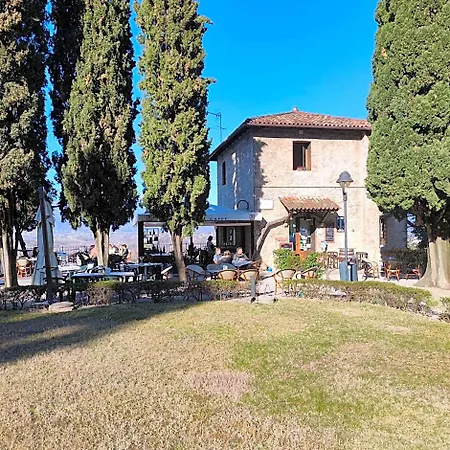 Bbconegliano Bixio *