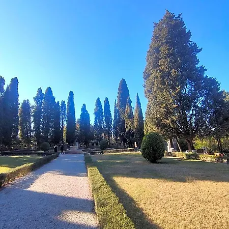 Bbconegliano Bixio